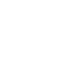 Presearch Cryptocurrency icon