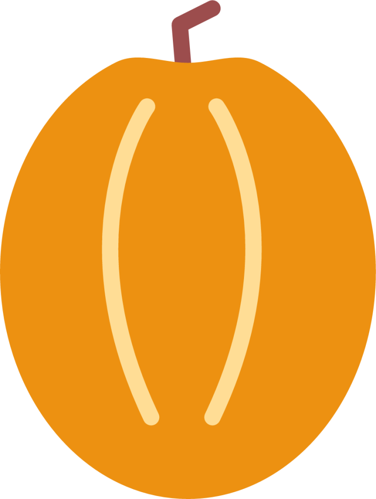 pumpkin halloween icon