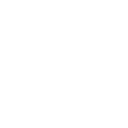 QASH Cryptocurrency icon