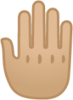 raised back of hand: medium-light skin tone emoji