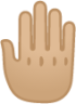 raised back of hand: medium-light skin tone emoji