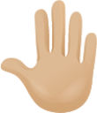 Raised back of hand skin 2 emoji emoji