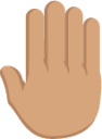 raised back of hand tone 3 emoji