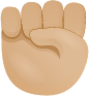 Raised fist skin 2 emoji emoji