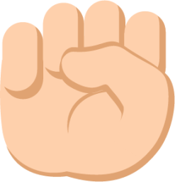 raised fist tone 2 emoji