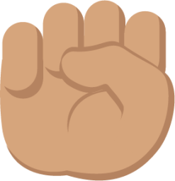 raised fist tone 3 emoji