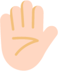 raised hand light emoji