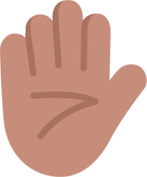 raised hand medium emoji
