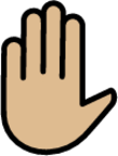 raised hand: medium-light skin tone emoji