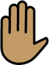 raised hand: medium skin tone emoji