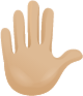 Raised hand skin 2 emoji emoji