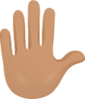 Raised hand skin 3 emoji emoji