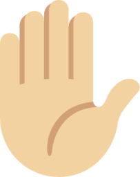 raised hand tone 2 emoji