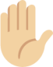 raised hand tone 2 emoji