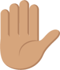 raised hand tone 3 emoji