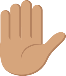 raised hand tone 3 emoji