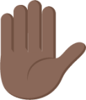 raised hand tone 5 emoji