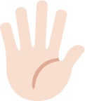 raised hand with fingers splayed tone 1 emoji