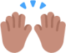 raising hands medium emoji