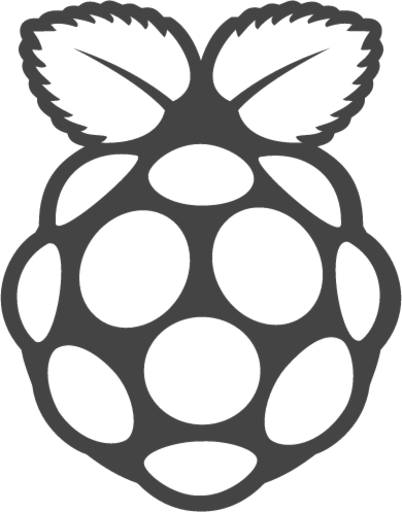 rasberry pi icon