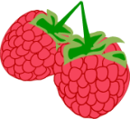 raspberries icon
