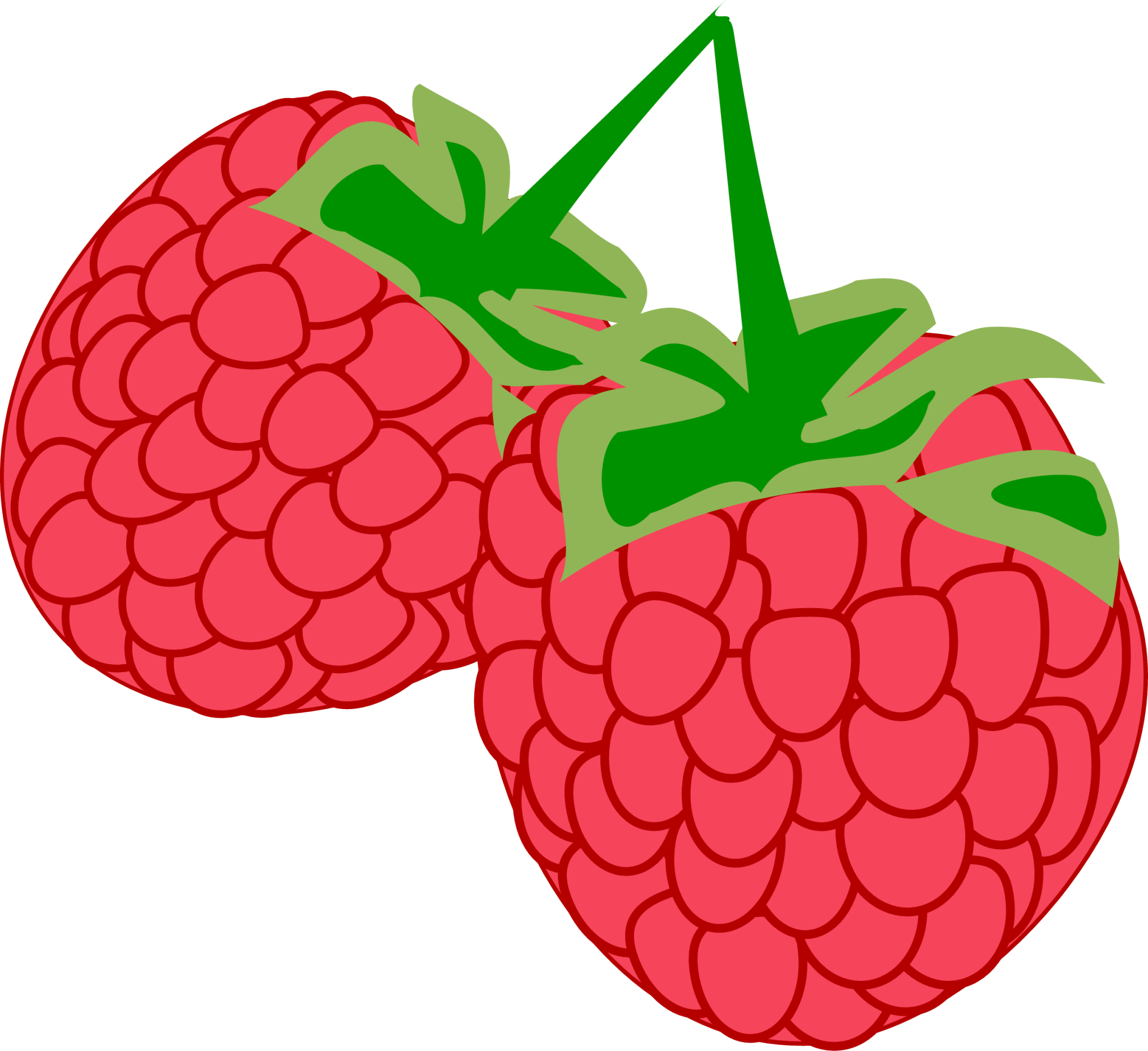 raspberries icon