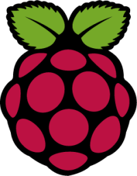 raspberry pi icon