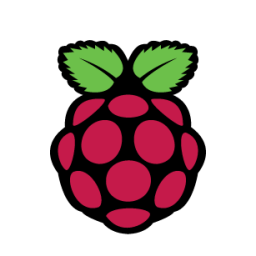 raspberry pi icon