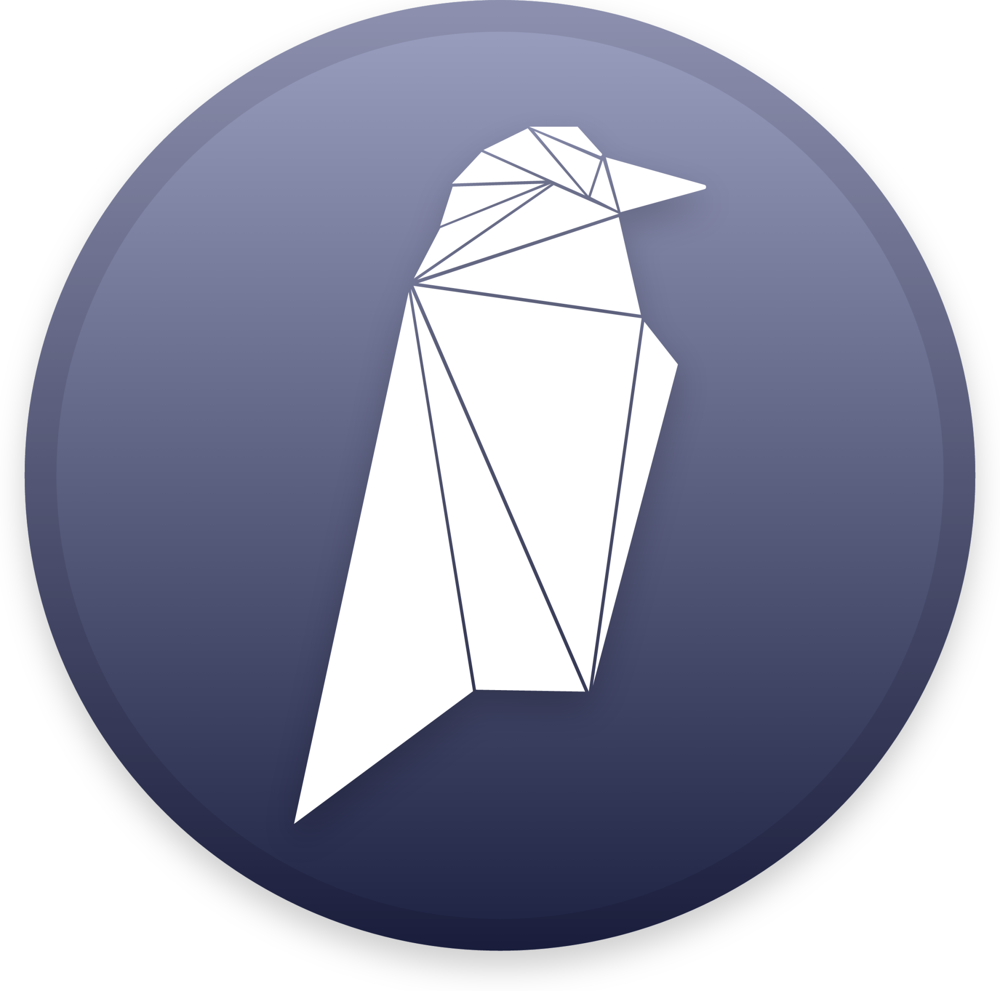 Ravencoin Cryptocurrency icon