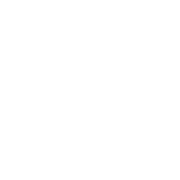 Ravencoin Cryptocurrency icon