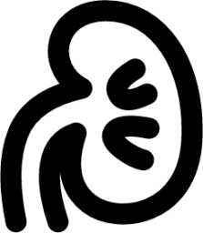 renal icon