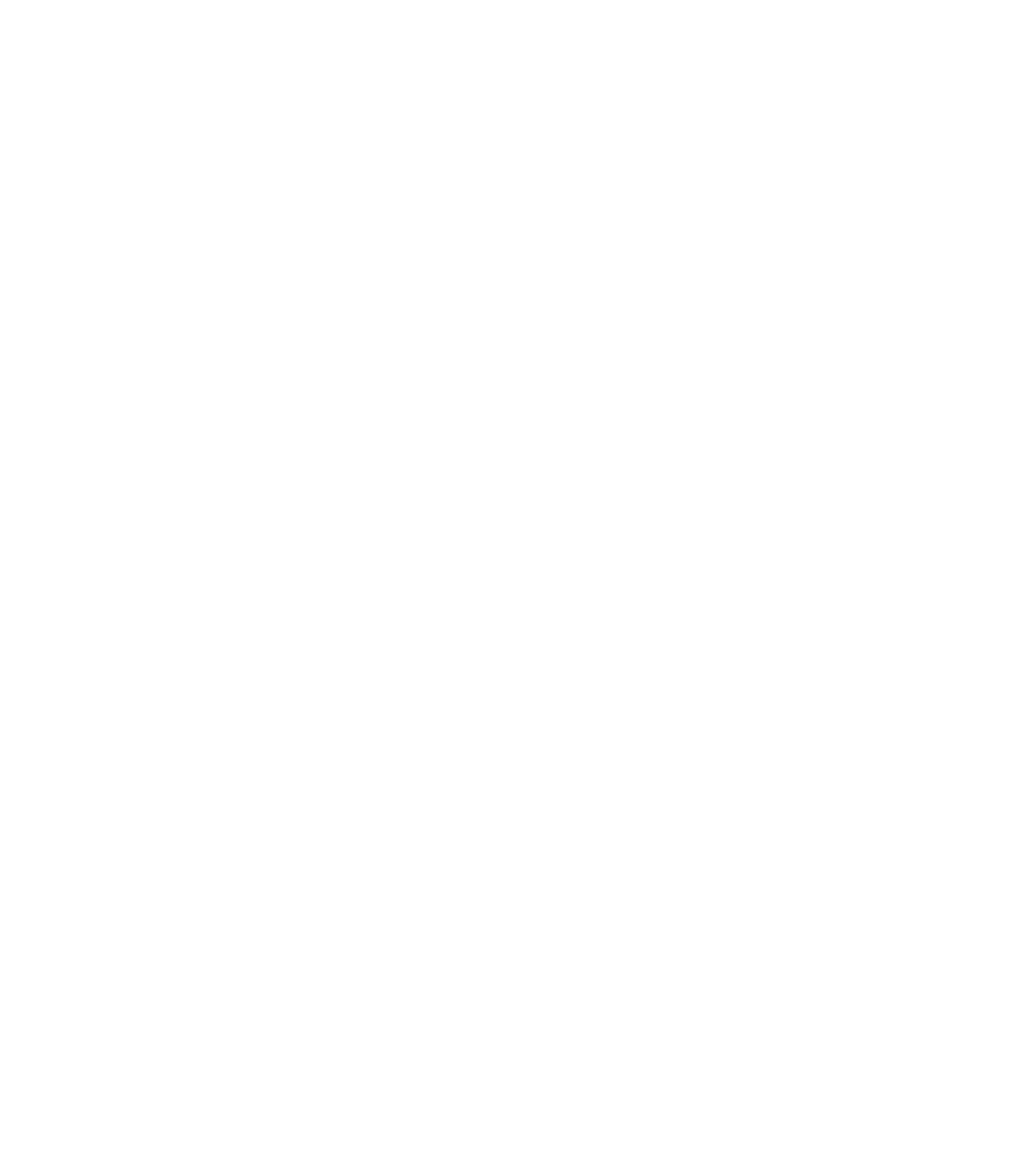 ribbon icon