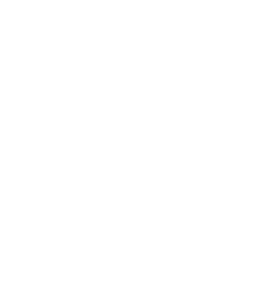 ribbon icon