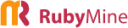 rubymine original wordmark icon