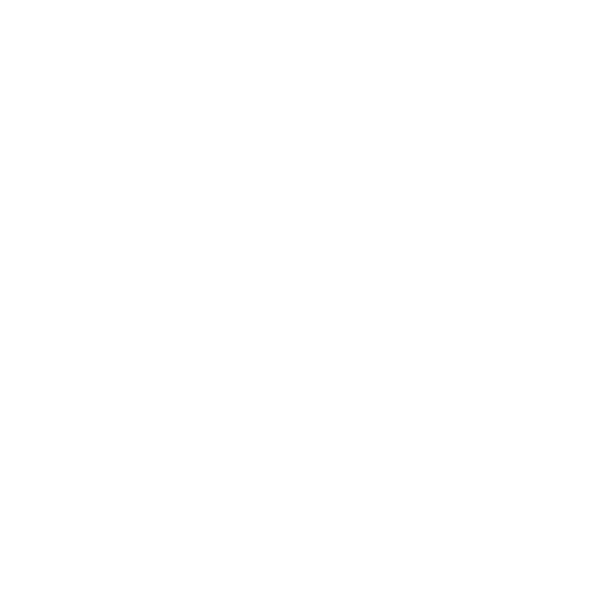 sailing boat icon