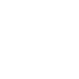 sailing boat icon