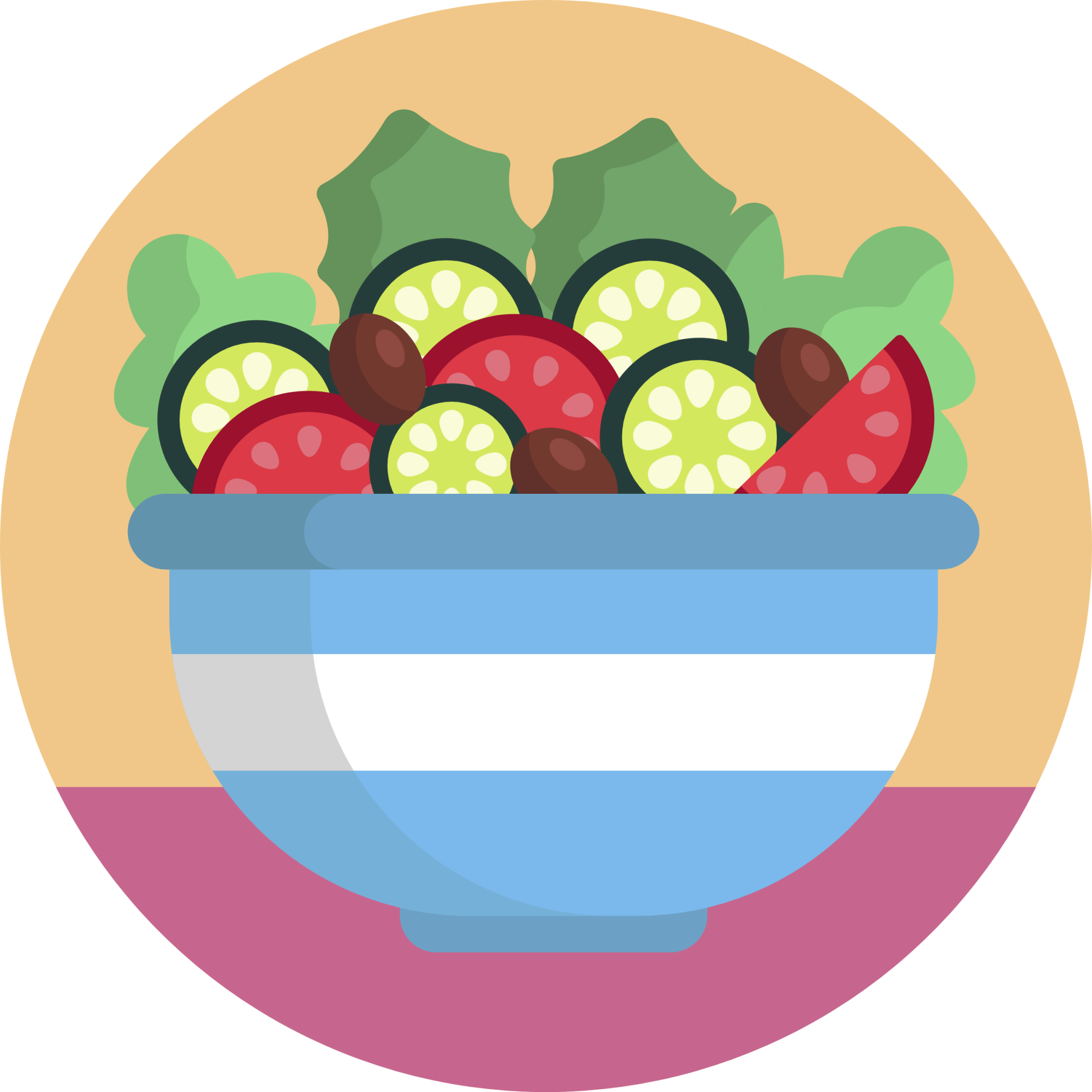 salad icon