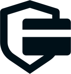 secure payment fill icon