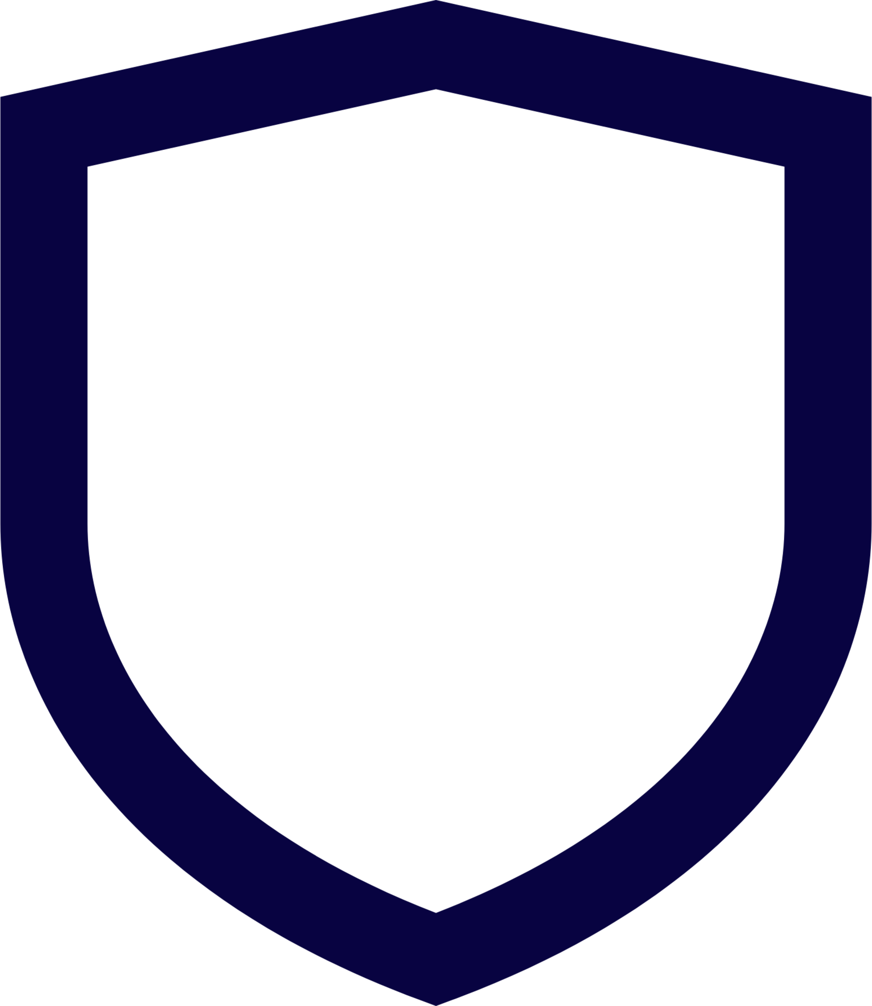 security 2 icon