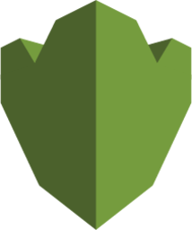 Security Identity Compliance AWS KMS icon