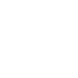 segments icon