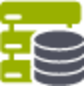 server database green icon