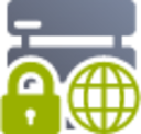 server web secure icon