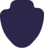 shield 1 icon