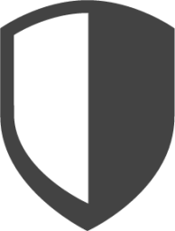 shield 2 icon