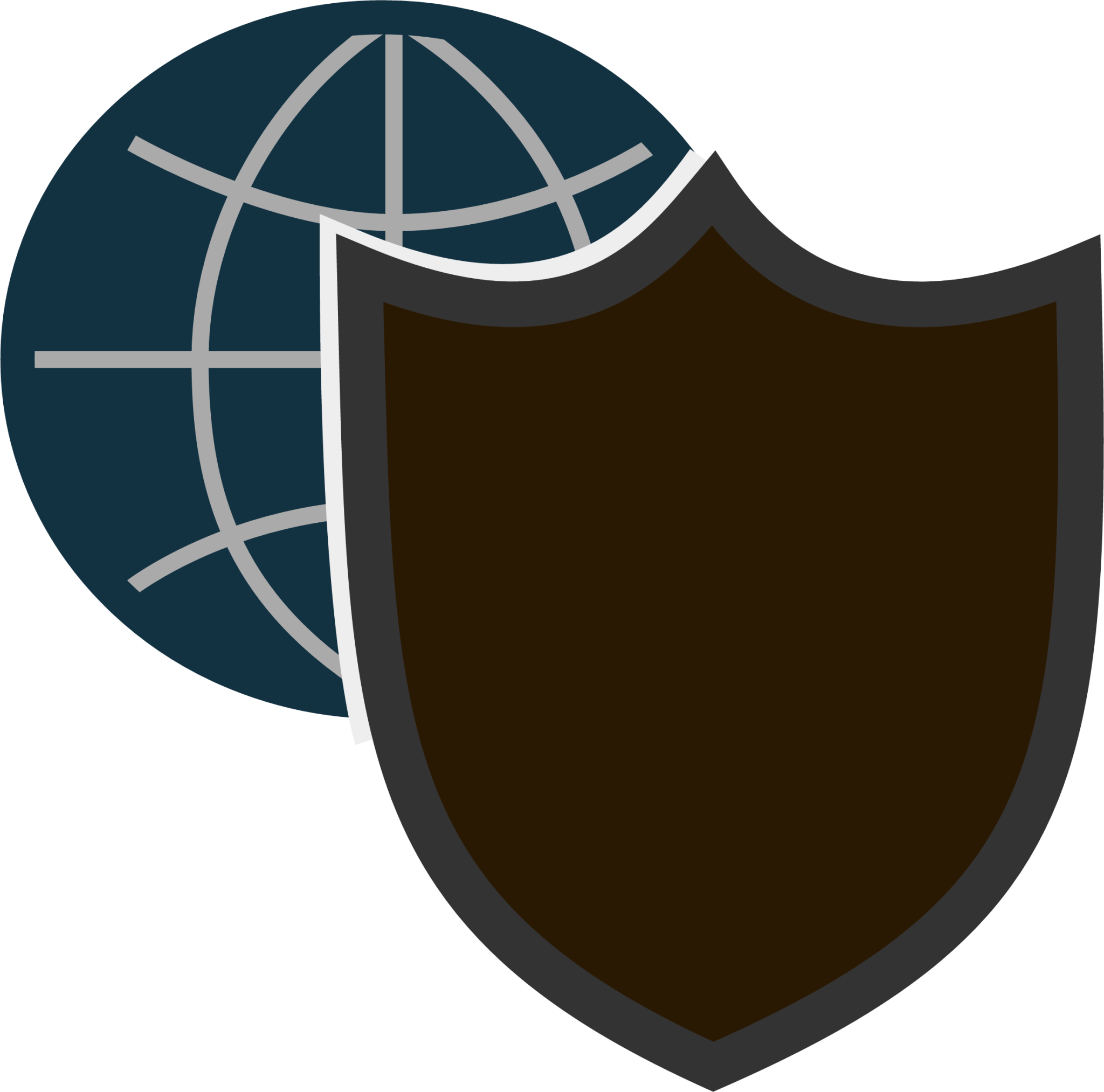 shield internet icon
