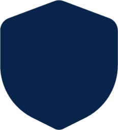 shield shape fill shape icon