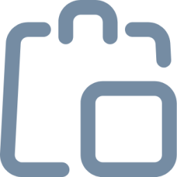 shopping bag product icon