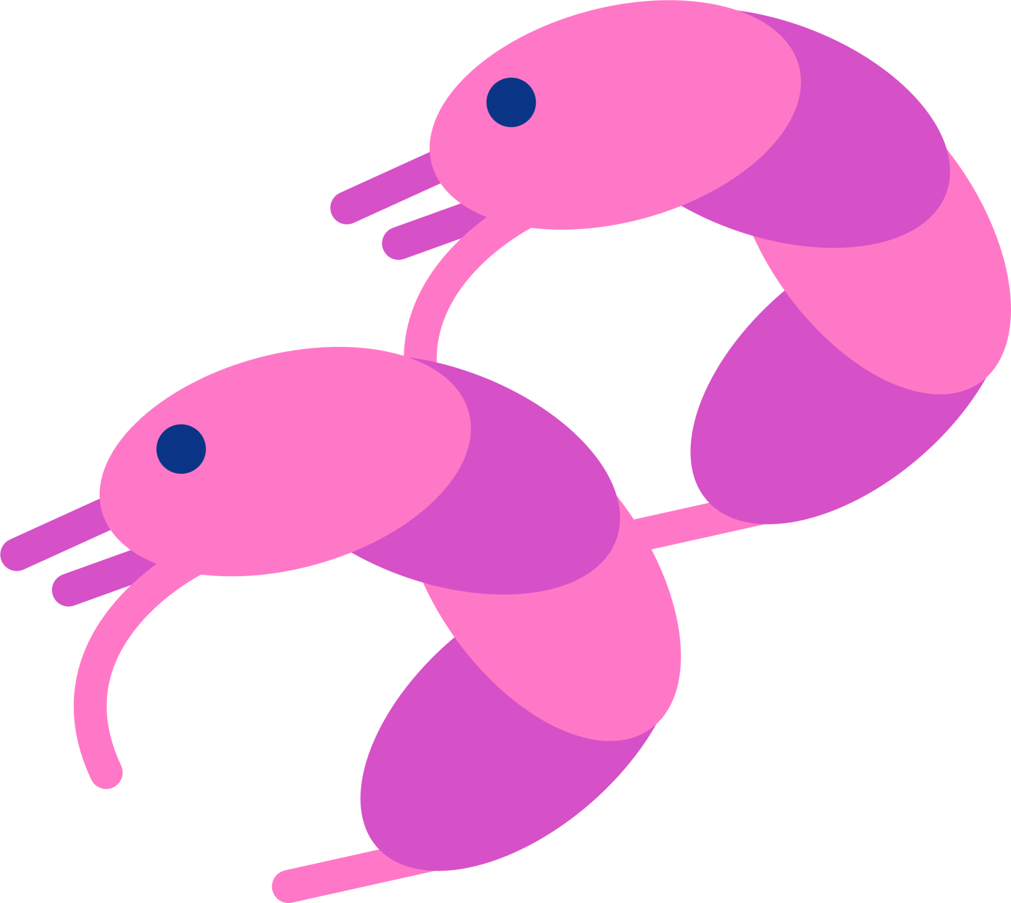 shrimps icon