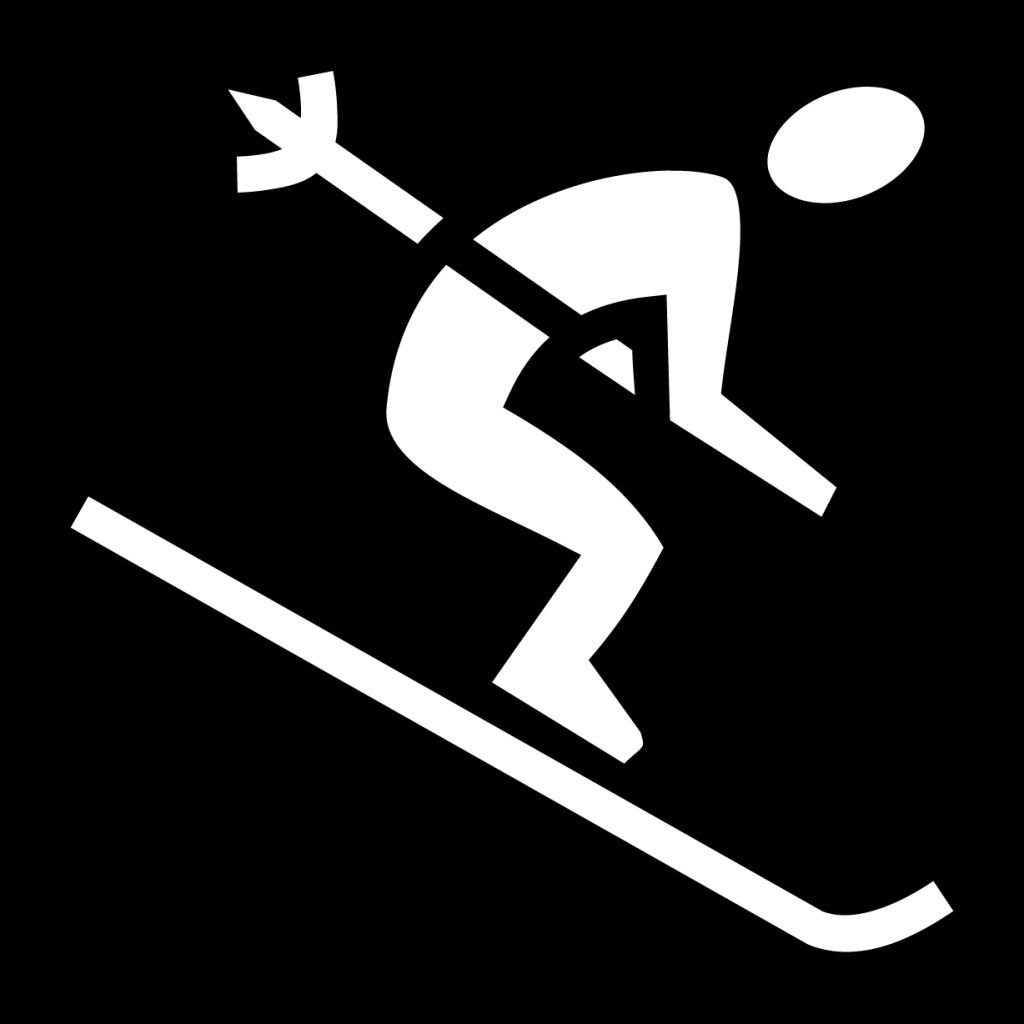 skier icon